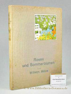 Imagen del vendedor de Rosen und Sommerblumen. a la venta por Bibliotheca Botanica