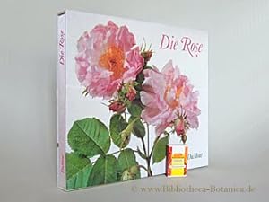 Bild des Verkufers fr Die Rose. erlesen und zeitlos. zum Verkauf von Bibliotheca Botanica