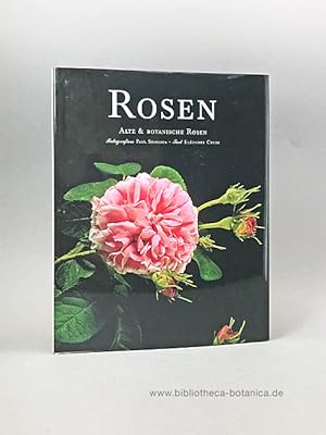 Bild des Verkufers fr Rosen. Alte & botanische Rosen. zum Verkauf von Bibliotheca Botanica