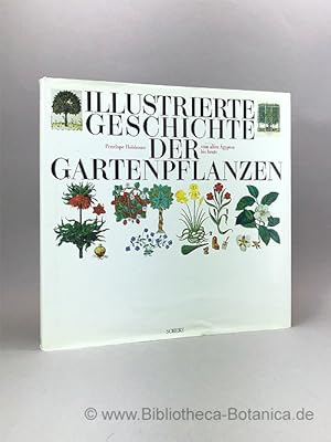 Imagen del vendedor de Illustrierte Geschichte der Gartenpflanzen vom Alten gypten bis heute. a la venta por Bibliotheca Botanica