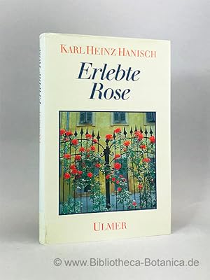 Bild des Verkufers fr Erlebte Rose. zum Verkauf von Bibliotheca Botanica