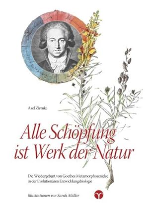 Seller image for Alle Schpfung ist Werk der Natur : Die Wiedergeburt von Goethes Metamorphosenidee in der Evolutionren Entwicklungsbiologie for sale by AHA-BUCH GmbH