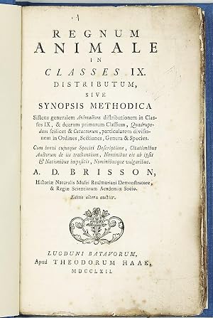 Seller image for Regnum Animale In Classes IX. Distributum : Sive Synopsis Methodica Sistens generalem Animalium distributionem in Classes IX, & duarum primarum Classium, Quadrupedum scilicet & Cetaceorum, particularem divisionem in Ordines, Sectiones, Genera & Species. . . for sale by Milestones of Science Books