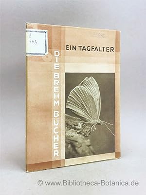Bild des Verkufers fr Ein Tagfalter. Der Kohlweissling. zum Verkauf von Bibliotheca Botanica