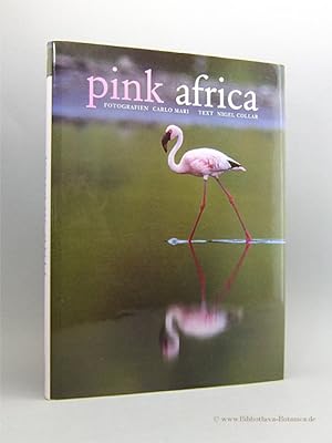 Immagine del venditore per Pink Africa. venduto da Bibliotheca Botanica