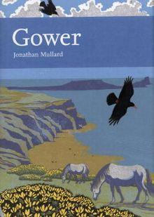 Seller image for Gower for sale by Summerfield Books BA