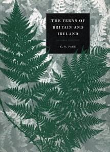 Seller image for The Ferns of Britain & Ireland for sale by Summerfield Books BA