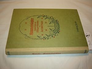 Bild des Verkufers fr Himmelslichter. Zweite Reihe der Festtags-Gedanken zum Verkauf von Antiquariat im Kaiserviertel | Wimbauer Buchversand