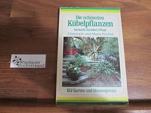 Image du vendeur pour Die schnsten Kbelpflanzen : Ausw., Standort, Pflege. Christoph u. Maria Kchel mis en vente par Antiquariat im Kaiserviertel | Wimbauer Buchversand