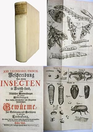 Bild des Verkufers fr Beschreibung von allerley Insecten in Teutsch-Land (13 Theile in 1), zum Verkauf von Antiquariat H. Carlsen