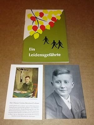 Ein Leidensgefährte - Krankheit und Tod des Dieners Gottes Bernhard Lehner aus Herrngiersdorf - v...