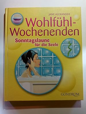 Seller image for Wohlfühl-Wochenenden. Sonntagslaune für die Seele for sale by ANTIQUARIAT Franke BRUDDENBOOKS