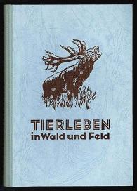 Tierleben in Wald und Feld: belauscht und beobachtet von August Zeddies. -