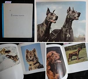 Unsere Hunde. Ein Farbbild-Buch für Hundefreunde, mit 49 Farbaufnahmen