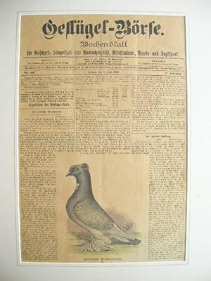 Zeitschrift "Geflügel-Börse": Titelblatt mit einer Taubenabbildung (Polnische Riesentaube), vom 9...