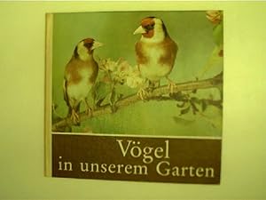 Vögel in unserem Garten, für junge Natur- und Tierfreunde,