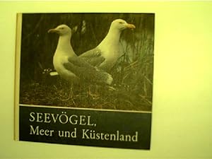 Seevögel, Meer und Küstenland, Für junge Natur- und Tierfreunde,