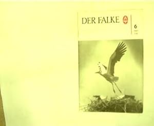 Der Falke - Heft 6 / 1969, Monatsschrift für Ornithologie und Vivarienkunde,