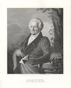 Johann Wolfgang Goethe. Halbfigürliches Porträt.