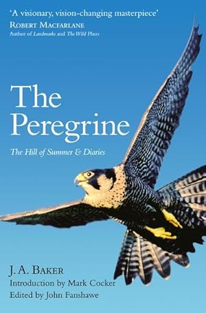 Bild des Verkufers fr The Peregrine : The Hill of Summer & Diaries: the Complete Works of J. A. Baker zum Verkauf von AHA-BUCH GmbH