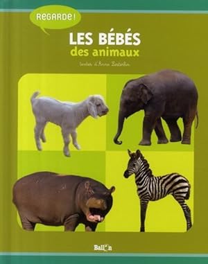 regarde ! ; les bébés animaux