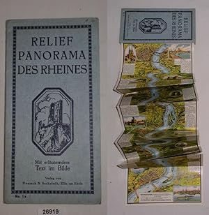 Bild des Verkufers fr Relief-Panorama des Rheines zum Verkauf von Versandhandel fr Sammler