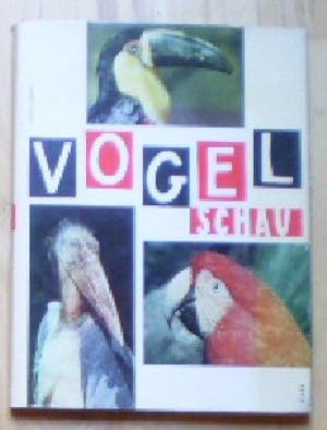 Seller image for Vogelschau for sale by Versandantiquariat Karin Dykes