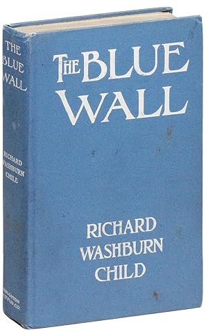 The Blue Wall [.] A Story of Strangeness and Struggle