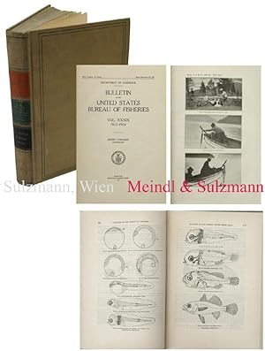 Bild des Verkufers fr Vol. XXXIX for 1923-24. Henry O Malley Commissioner. zum Verkauf von Antiquariat MEINDL & SULZMANN OG