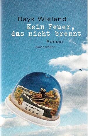 Seller image for Kein Feuer, das nicht brennt. Roman for sale by Falkensteiner
