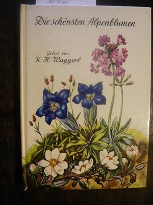 Image du vendeur pour Die schnsten Alpenblumen. mis en vente par Versandantiquariat  Wenzel