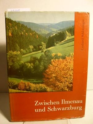 Seller image for Zwischen Ilmenau und Schwarzenberg. for sale by Versandantiquariat  Wenzel