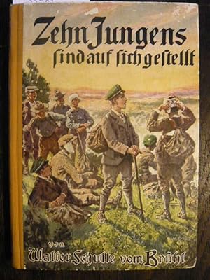 Seller image for Zehn Jungens sind auf sich gestellt. for sale by Versandantiquariat  Wenzel