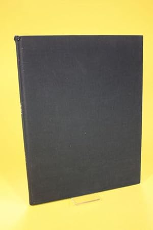 Immagine del venditore per Hof - Bilder aus einer guten Stadt venduto da Der B�cherhof