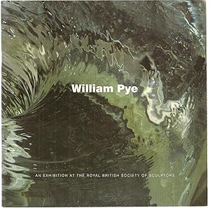 William Pye: Beneath the Surface - a Decade of Projects Seen in Depth