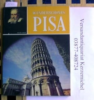 Wunderschönes Pisa