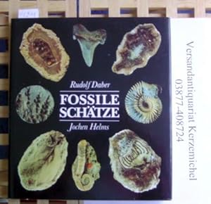 Seller image for Fossile Schtze for sale by Versandantiquariat Kerzemichel