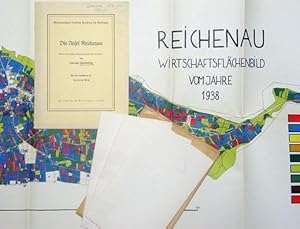 Seller image for Die Insel Reichenau. Eine wirtschaftsgeographische Studie. for sale by antiquariat peter petrej - Bibliopolium AG