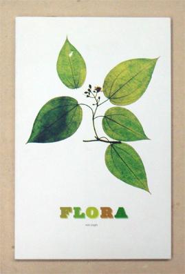 Immagine del venditore per Flora. venduto da antiquariat peter petrej - Bibliopolium AG