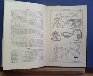 Naturgeschichts-Skizzenbuch - 5 (von 6) Bänden. 1: Niedere Tiere. 2: Gliedertiere. 3: Wirbeltiere...