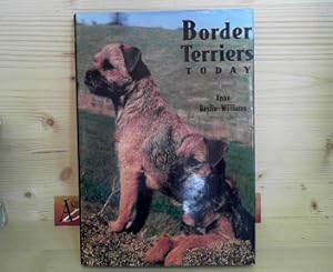 Border Terriers Today.