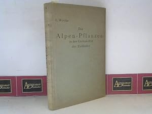 Imagen del vendedor de Die Alpen-Pflanzen in der Gartenkultur der Tieflnder. - Ein Leitfaden fr Grtner und Gartenfreunde. a la venta por Antiquariat Deinbacher