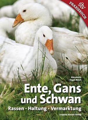 Bild des Verkufers fr Ente, Gans und Schwan zum Verkauf von Rheinberg-Buch Andreas Meier eK
