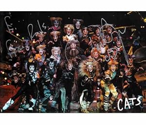 Konvolut Cats. Inszenierung Musical Theater Stuttgart International". 3 Titel. 1.) Programmheft,...