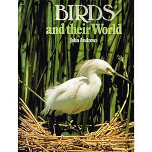 Imagen del vendedor de Birds in Their World a la venta por Buteo Books