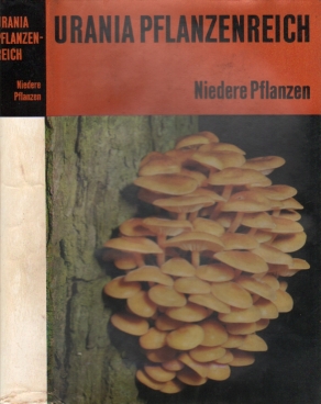 Bild des Verkufers fr Urania Tierreich und Pflanzenreich. Niedere Pflanzen zum Verkauf von Leipziger Antiquariat