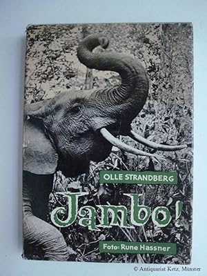 Seller image for Jambo! Wie steht es mit Afrika? for sale by Antiquariat Hans-Jrgen Ketz