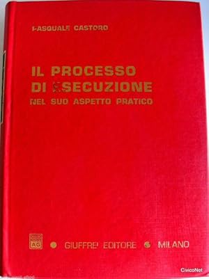 IL PROCESSO DI ESECUZIONE NEL SUO ASPETTO PRATICO