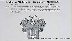 MIELZYNSKI, BRUDZEWO-MIELZYNSKI - Grafen v. Mielzynski, Brudzewo-Mielzynski