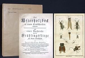 Bild des Verkufers fr Der Afterholzbock in einem Sendschreiben beschrieben nebst einer Nachricht von der Frhlingsfliege mit kurzen Oberflgeln. zum Verkauf von Antiquariat Hilbert Kadgien